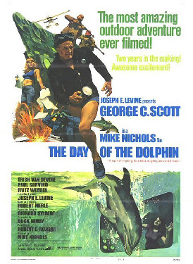 day of dolphin