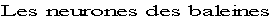 wp14082b7a.png