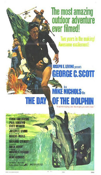 day of dolphin