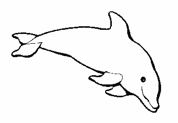 dofin dessin