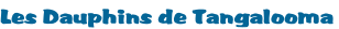 Les Dauphins de Tangalooma