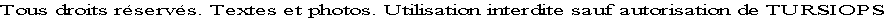 les cétacés