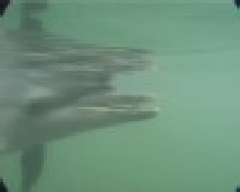 wp2b8a2d13_0f.jpg