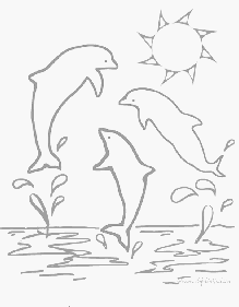 coloriage dauphin