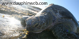 wp30bb773e_0f.jpg