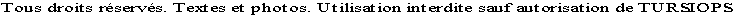 les cétacés
