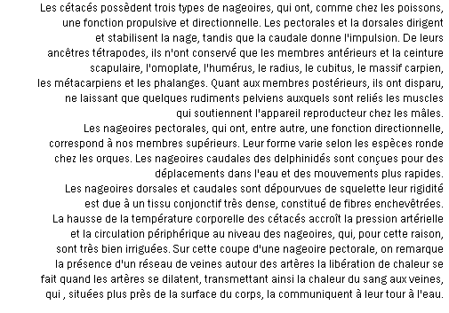 wp341d4af4.png