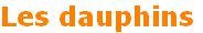dauphins ambassadeurs 
