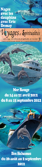 nager avec les dauphins libres en mer rouge et bahamas egypte israel winter