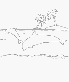 les dauphins
