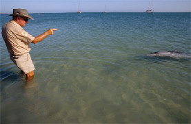 photo dauphin