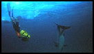 bahamas meeting