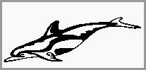 wp58e1de70.gif