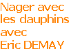 nager avec les dauphins avec Eric Demay