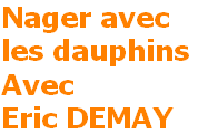 nager avec les dauphins avec Eric Demay
