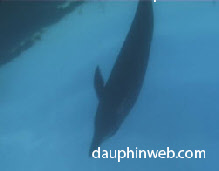 wp64d7bf4c_0f.jpg