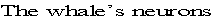 wp67b1f63d.png