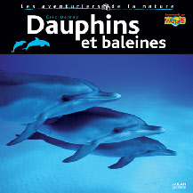 des baleines des cachalots des dauphins et des hommes