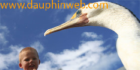 wp6be1865f_0f.jpg