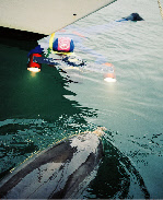 wp6cd8b71a_0f.jpg
