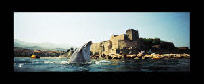 Delphine de Collioure
