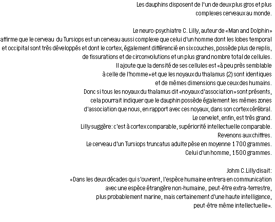 wp753a02c5.png