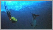bahamas meeting
