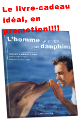 wp7d76520e.png