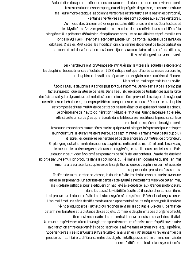 wp7eff94e6.png
