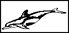 wp81b8e1f6.gif