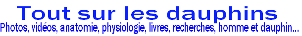 photos, vidéos, physiologie, livres, recherches, homme et dauphin...