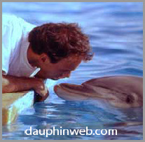 le langage des dauphins