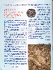 wp9ae1914e_0f.jpg