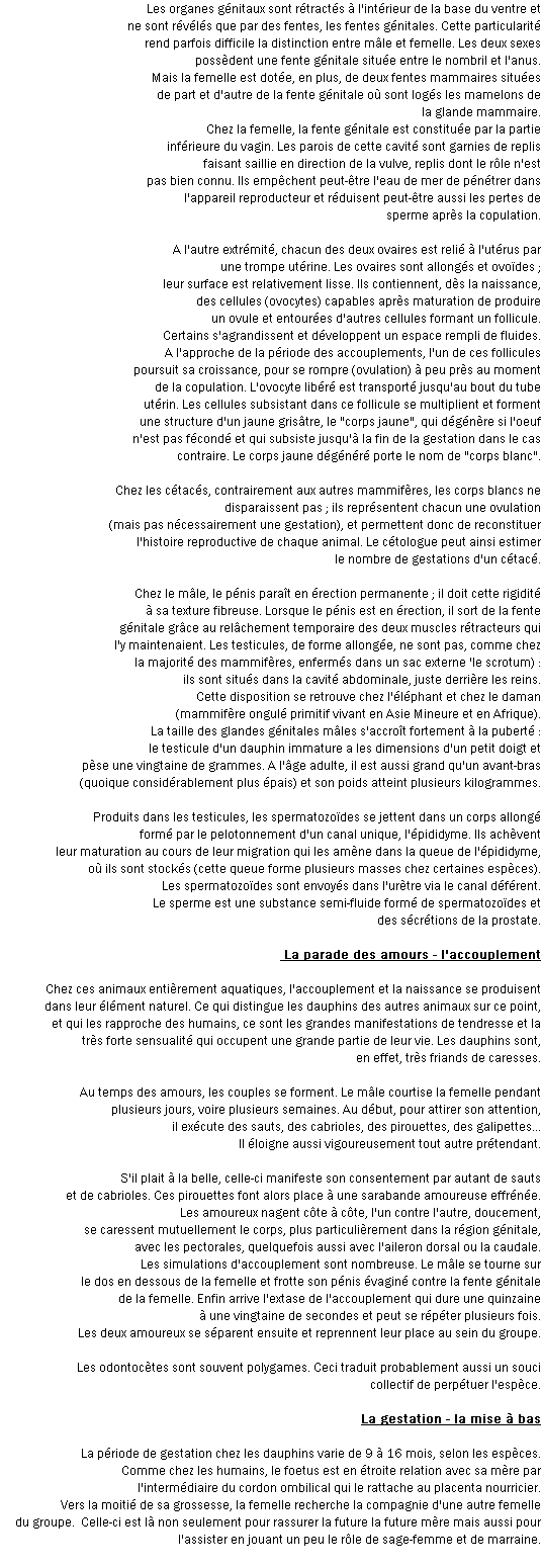wp9cb79155.png