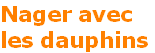 photos et videos de dauphins