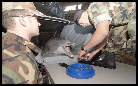 army and ddolphins