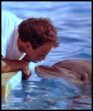 le langage des dauphins