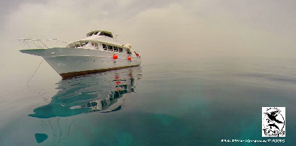 bateau mer rouge croisiere