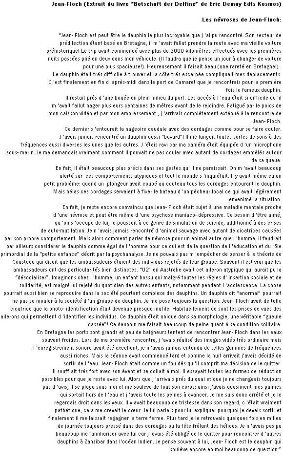 wpc67ab9b3.png