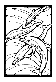 colorier les dauphins