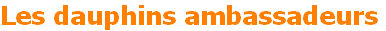 dauphins ambassadeurs