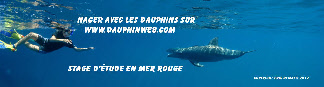 wpe77d44c6_0f.jpg