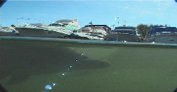 Vidéos et photos des dauphins