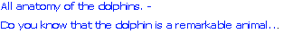 wpf2bd7b86.png