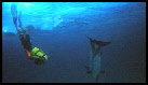 bahamas meeting