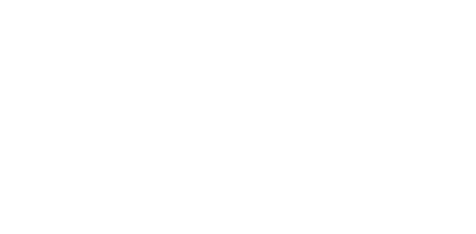 dauphin ambassadeur en france et en australie