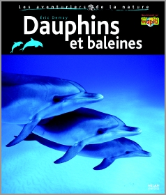 eric demay spécialiste des dauphins