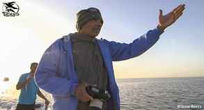 mobile immersion